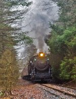 CNJ 113 working an uphill grade just south of Westwood Junction